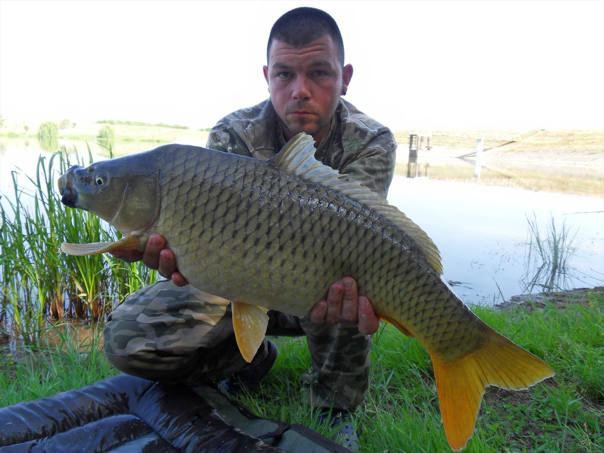 Cetariu 2011 - cetariu2011-142.JPG